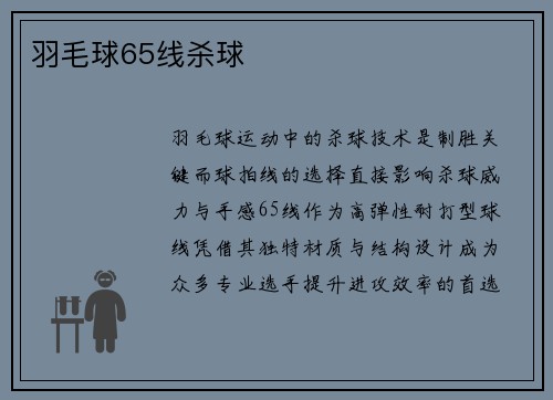 羽毛球65线杀球
